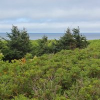 Уникальная экосистема :: Владимир Соколов (svladmir)