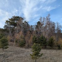 Октябрь :: Андрей Хлопонин Октябрь :: Андрей Хлопонин