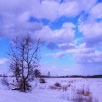 Красота ранней весны :: Людмила Смородинская