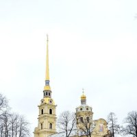 Петроавловский собор. :: Ольга 