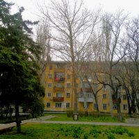 Керчь. Платан фронтовой дружбы и памяти в сквере Лётчиков ранней весной. :: Пётр Чернега