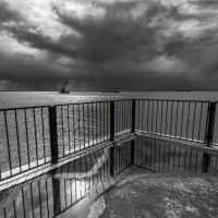 После дождя :: **** vedin