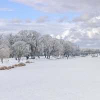 Снежная симфония весны ... :: Ravile 