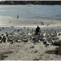 Весна наступила... :: Aleksandr Gal