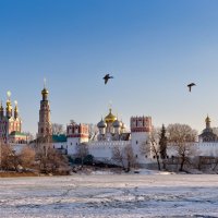 Новодевичий монастырь :: Игорь Шевченко