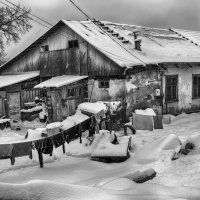 Сельский быт :: Владимир Гришин
