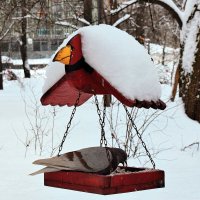 Перезимовали. :: Татьяна Помогалова