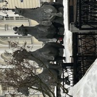 Любимки мои :: Натали 