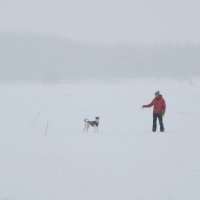 Метель и дружба... :: Алекс Б-в