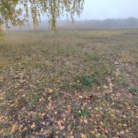 Туман :: Валентина Богатко 