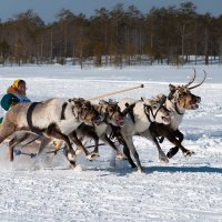 Есть женщины :: Александр Лебедев