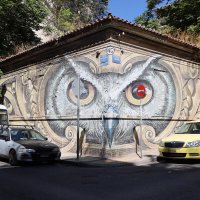 Совушка. :: Оля Богданович