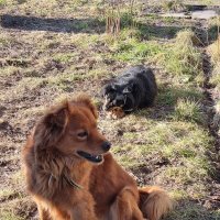 Весенняя улыбка :) :: Наталья 