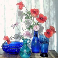 Ах, эти маки! ...Или бабочек крылья? :: TAMARA КАДАНОВА