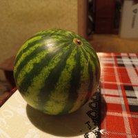 Не удержался: первый раз за 70,5 лет ел арбуз в марте :: Андрей Лукьянов