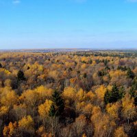 Троицк - Новая Москва :: Tata Wolf