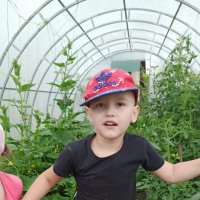 помощник :: Наталья Штанулина