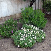 Барселона. :: Владимир Драгунский