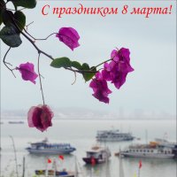 С праздником, дорогие фотобогини! :: Валерий Готлиб