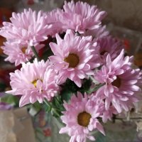 Нежность :: Елена Семигина