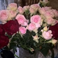 МИЛЫЕ ЖЕНЩИНЫ! С НАСТУПАЮЩИМ 8 МАРТОМ! СЧАСТЬЯ, ЗДОРОВЬЯ,ЛЮБВИ ВАМ! :: Елена Семигина