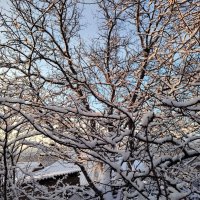 Февраль :: Наталья (ShadeNataly) Мельник