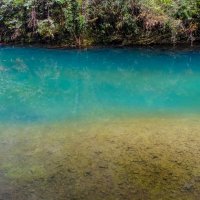 Синий и желтый цвета не являются исключительной прерогативой какой-либо одной страны. :: Георгий А