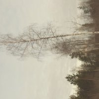 Мечты о Лейке 42. Объектив лейка. :: Михаил Елочкин