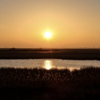 Утро. :: Александр. AVG100 ---