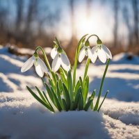 Начало весны :: Ravile 