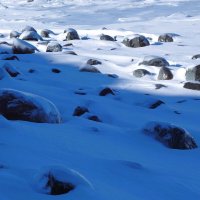 Февраль, Балтийское море и побережье, Калининградская область :: Рита Симонова