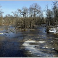 *** :: Aleksandr Gal