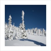 * :: Александр Иванов