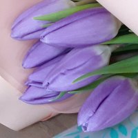 Март :: Венера Чуйкова