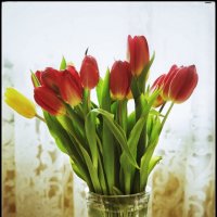 Весенний букетик... :: Руслан 