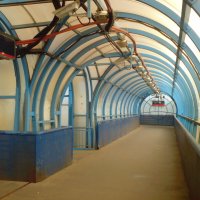 Белоостровская геометрия :: Not Lion