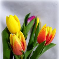 С наступающим ,  милые женщины. :: nadyasilyuk Вознюк