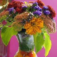 творчество слабого пола :: Олег Лукьянов