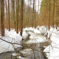 Убегает вдаль :: Андрей Снегерёв