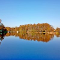 Весенние отражения... :: Лия ☼