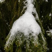 Потеплело. :: Игорь Викторов