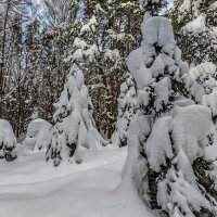 После метели 2 :: Владимир Езеров 