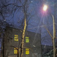 Падал лёгкий снежок... :: Татьяна Машошина