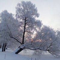 Рассвет :: Сапсан 