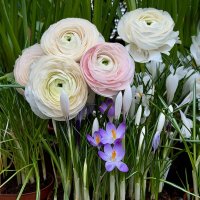 Весенники) :: Любовь 