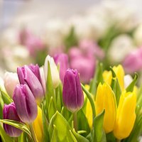 Для вас! С Праздником, девочки! :: Bosanat 