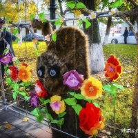 С 8 Марта! :: arkadii 