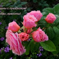 С праздником! :: Люба С праздником! :: Люба