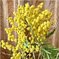 С ПРАЗДНИКОМ! :: Валерия Комова