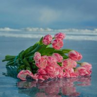 Тюльпаны на льду Байкала. :: Павел Крутенко